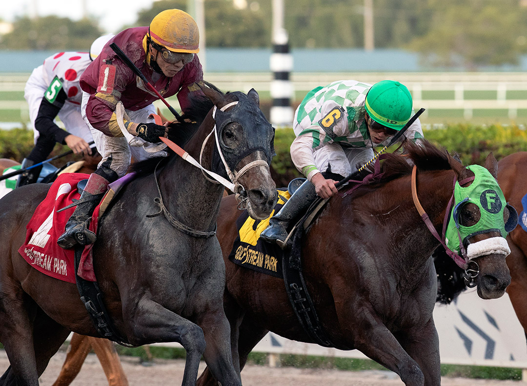 Noble Drama (left) beats Red Crescent to win the Sunshine Millions Classic at Gulfstream Park