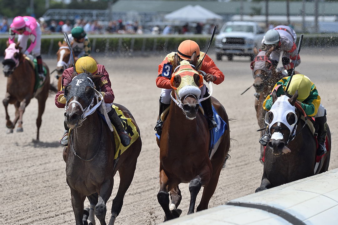 Noble Drama (left) wins the 2020 The Name's Jimmy Handicap at Gulfstream Park