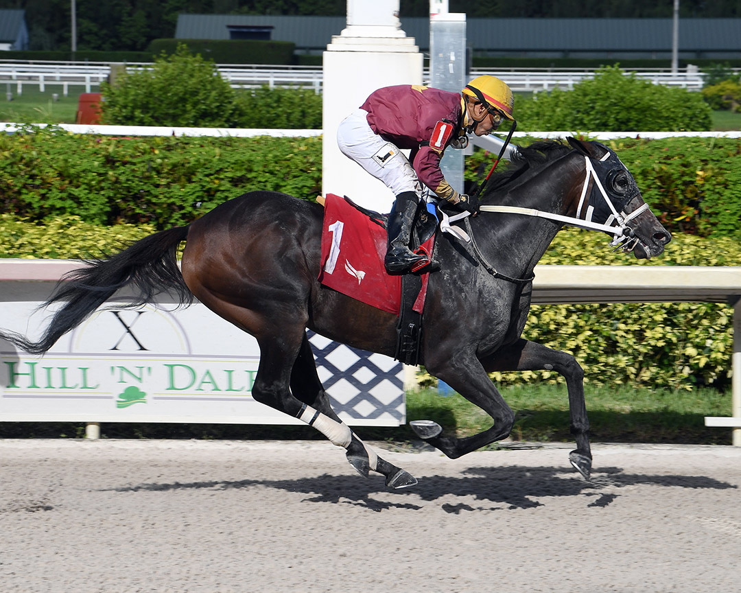 Noble Drama wins the 2021 City of Dania overnight Stakes at Gulfstream Park