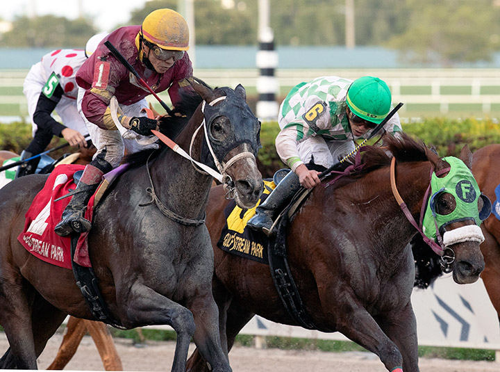 Noble Drama (left) wins the 2020 Sunshine Millions Classic at Gulfstream Park