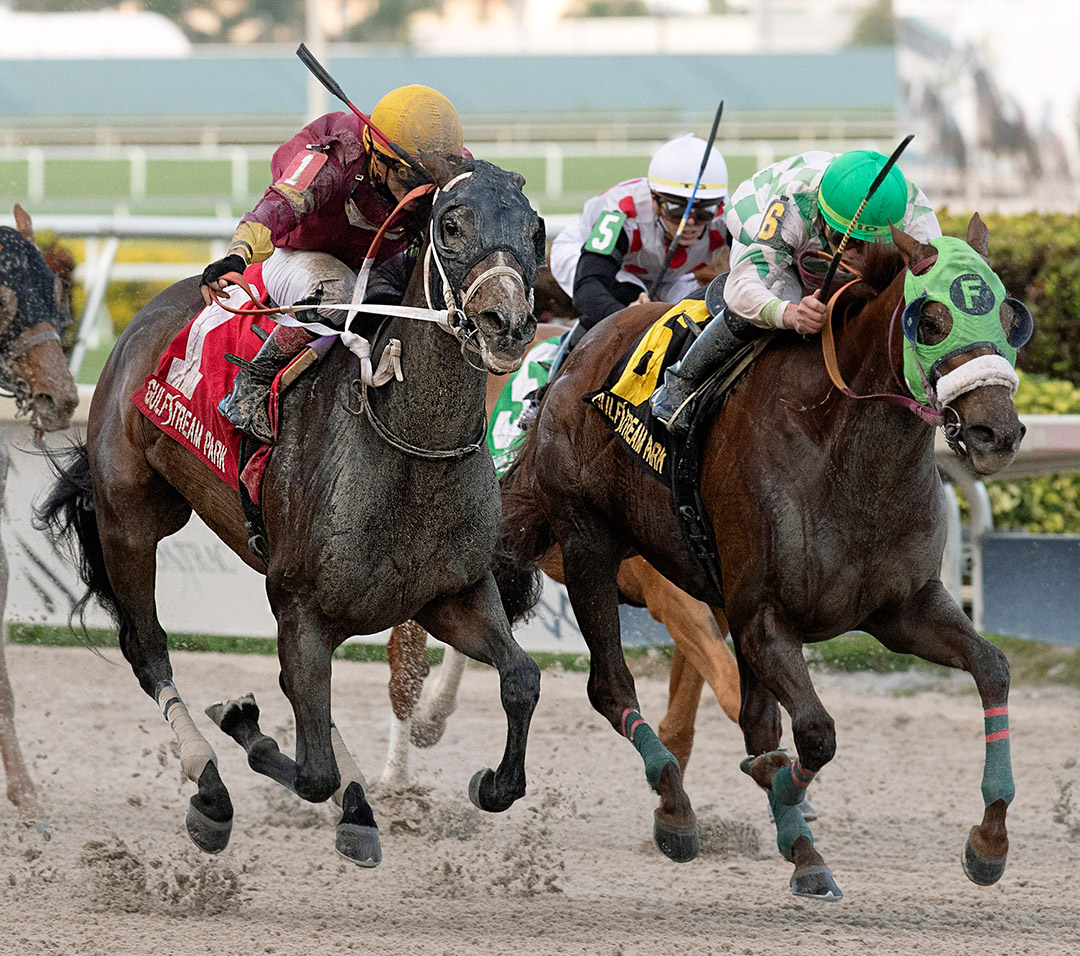 Noble Drama (left) beats Red Crescent to win the 2020 Sunshine Millions Classic at Gulfstream Park