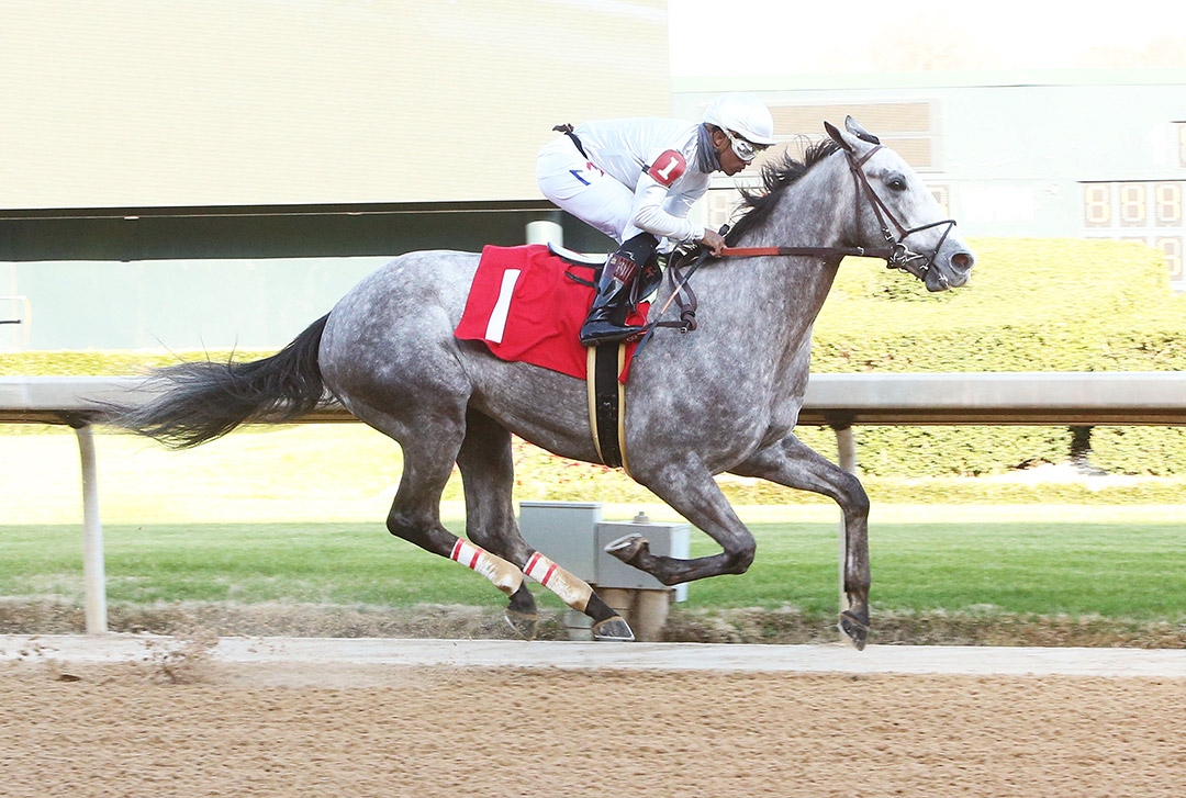 Noble Reflection wins a March 7 maiden race at Oaklawn