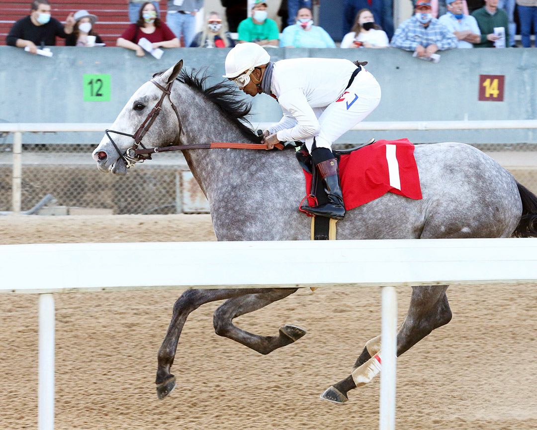 Noble Reflection wins a March 7 maiden race at Oaklawn