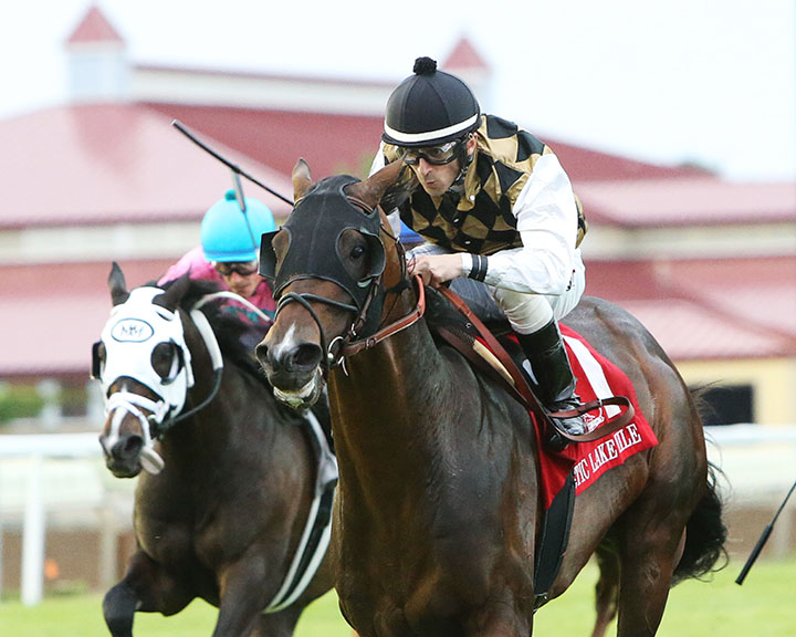 Nobrag Justfact wins the 2019 Mystic Lake Mile at Canterbury Park
