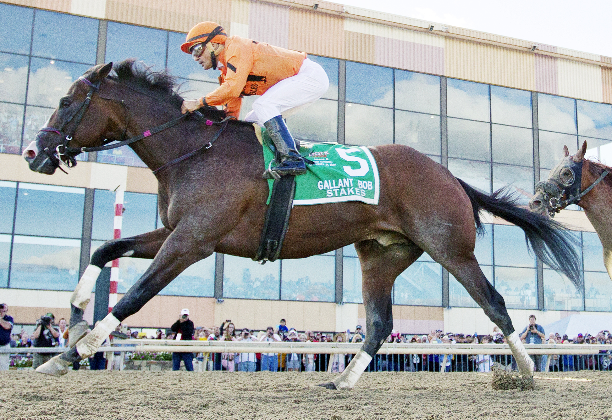 Noholdingback Bear wins the 2016 Gallant Bob Stakes