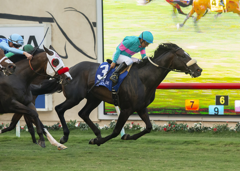 Nolde wins the 2019 Del Mar Derby