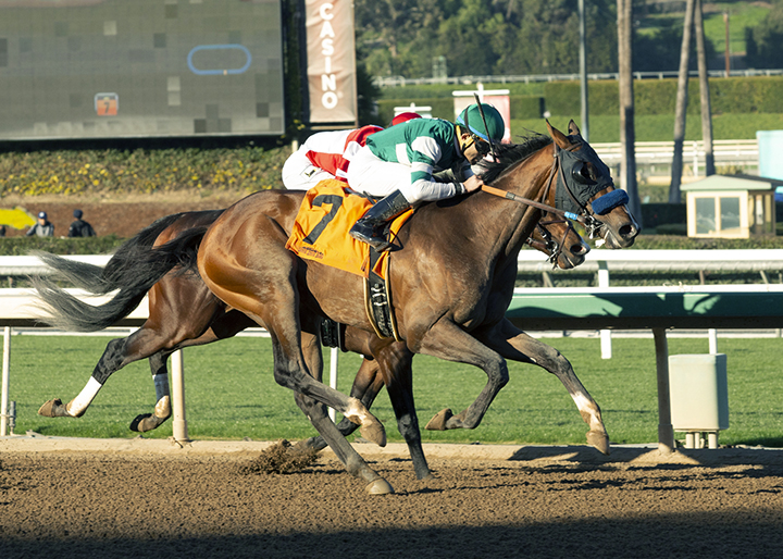 Nolo Contesto wins a Jan. 4 maiden race