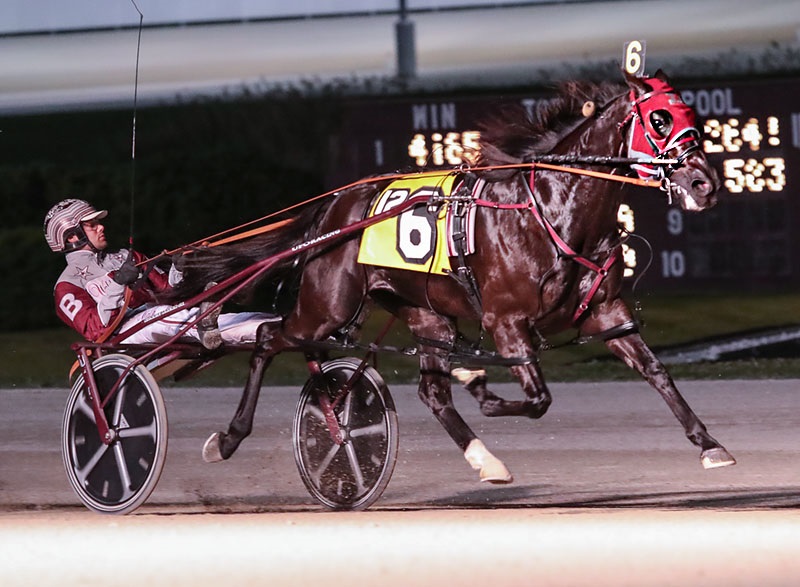 None Bettor