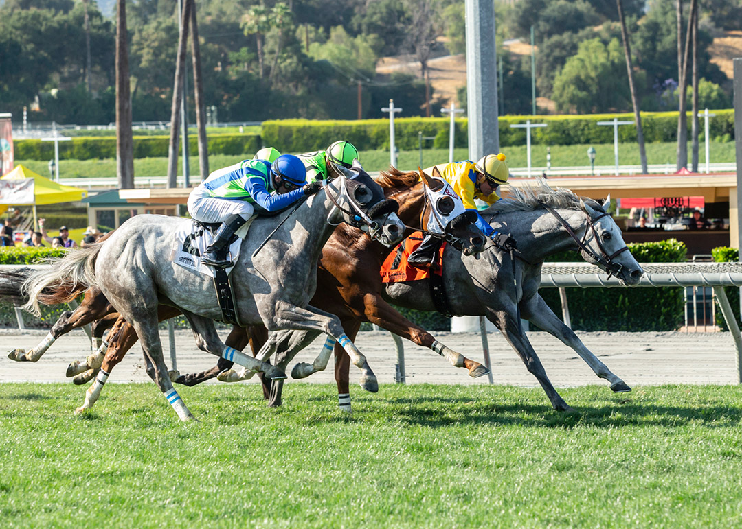 None Above the Law (2) finishes second in the Snow Chief Stakes at Santa Anita Park
