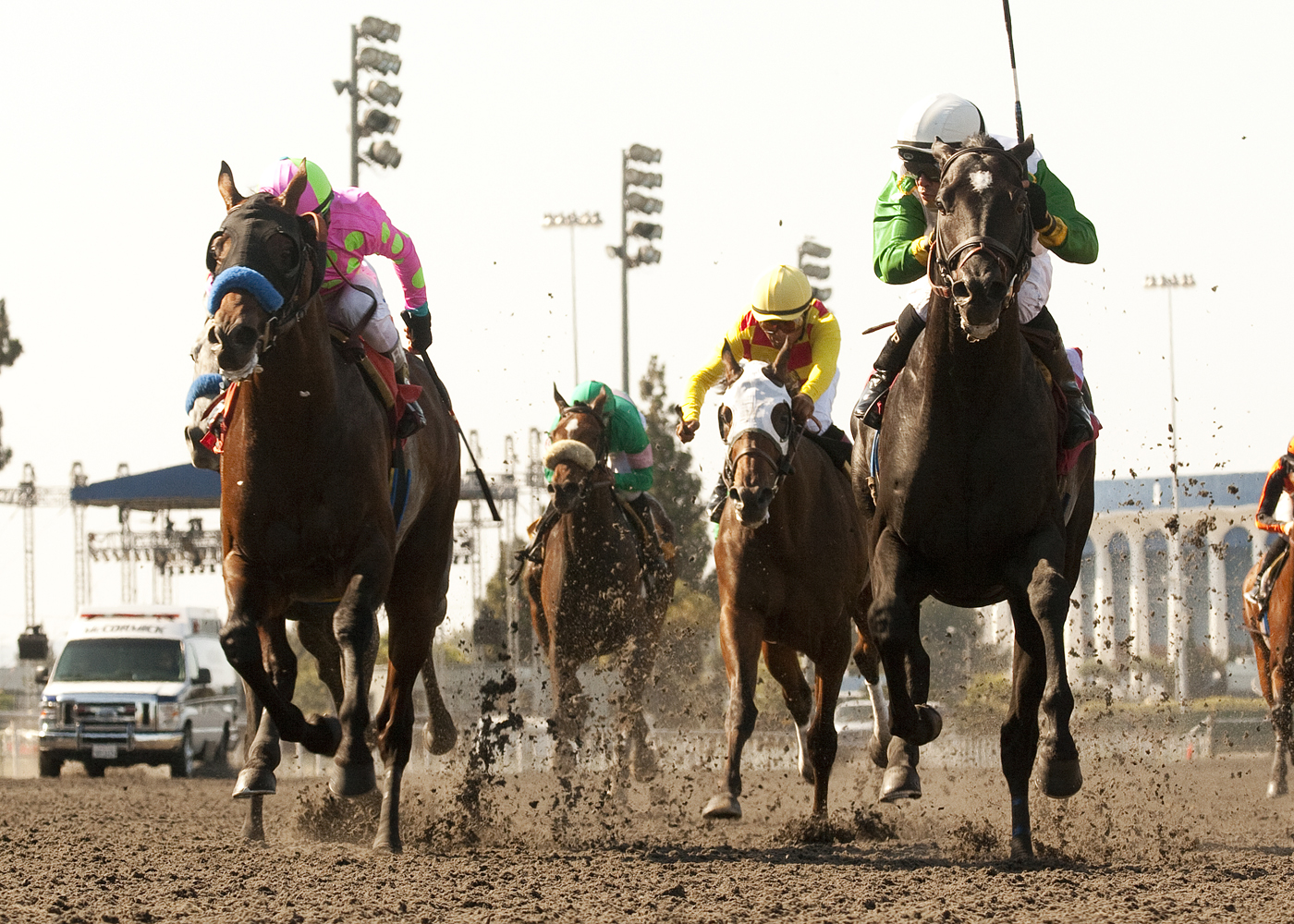 Liaison in Affirmed