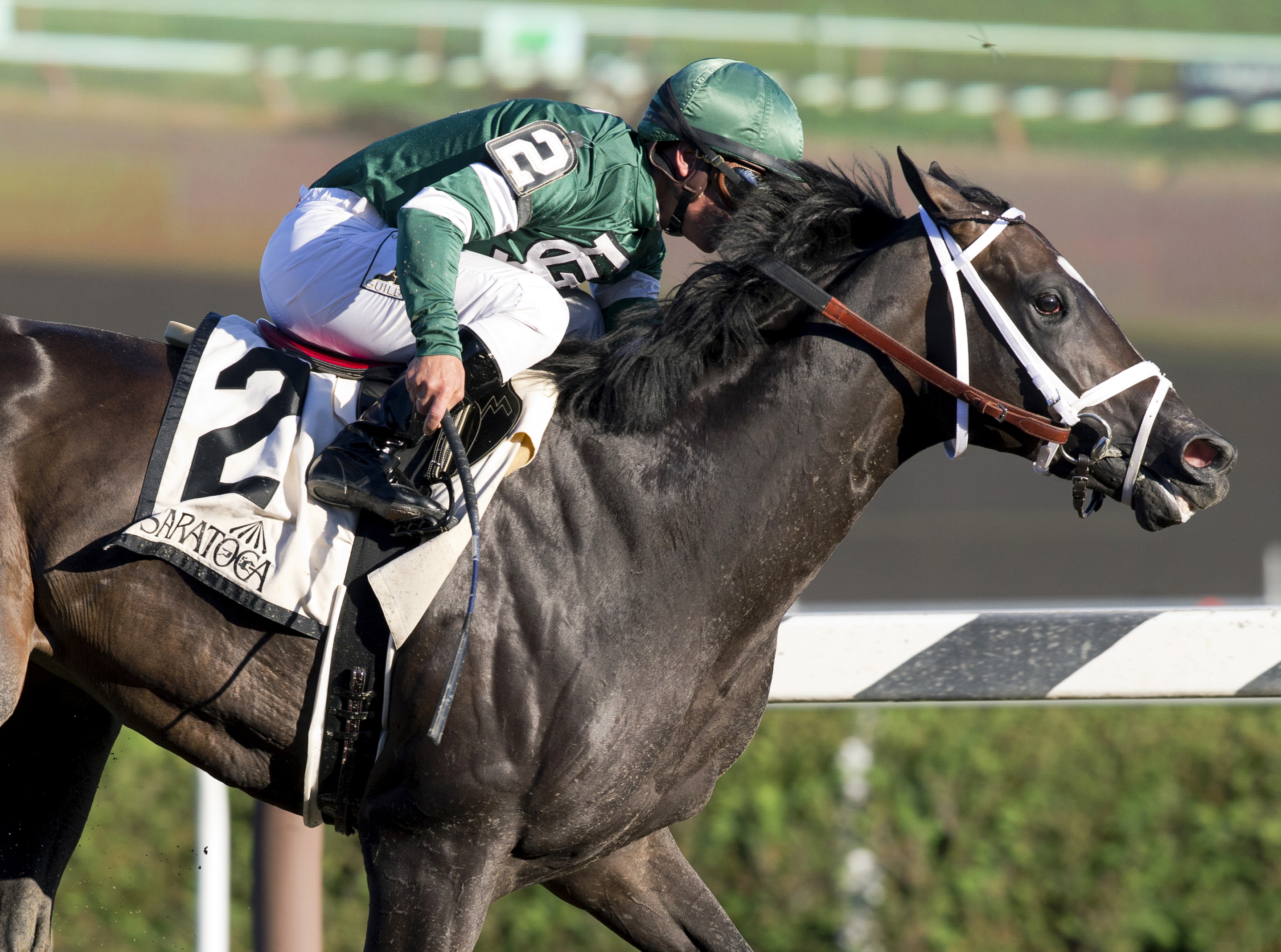 Nonna Mela wins the Adirondack Stakes