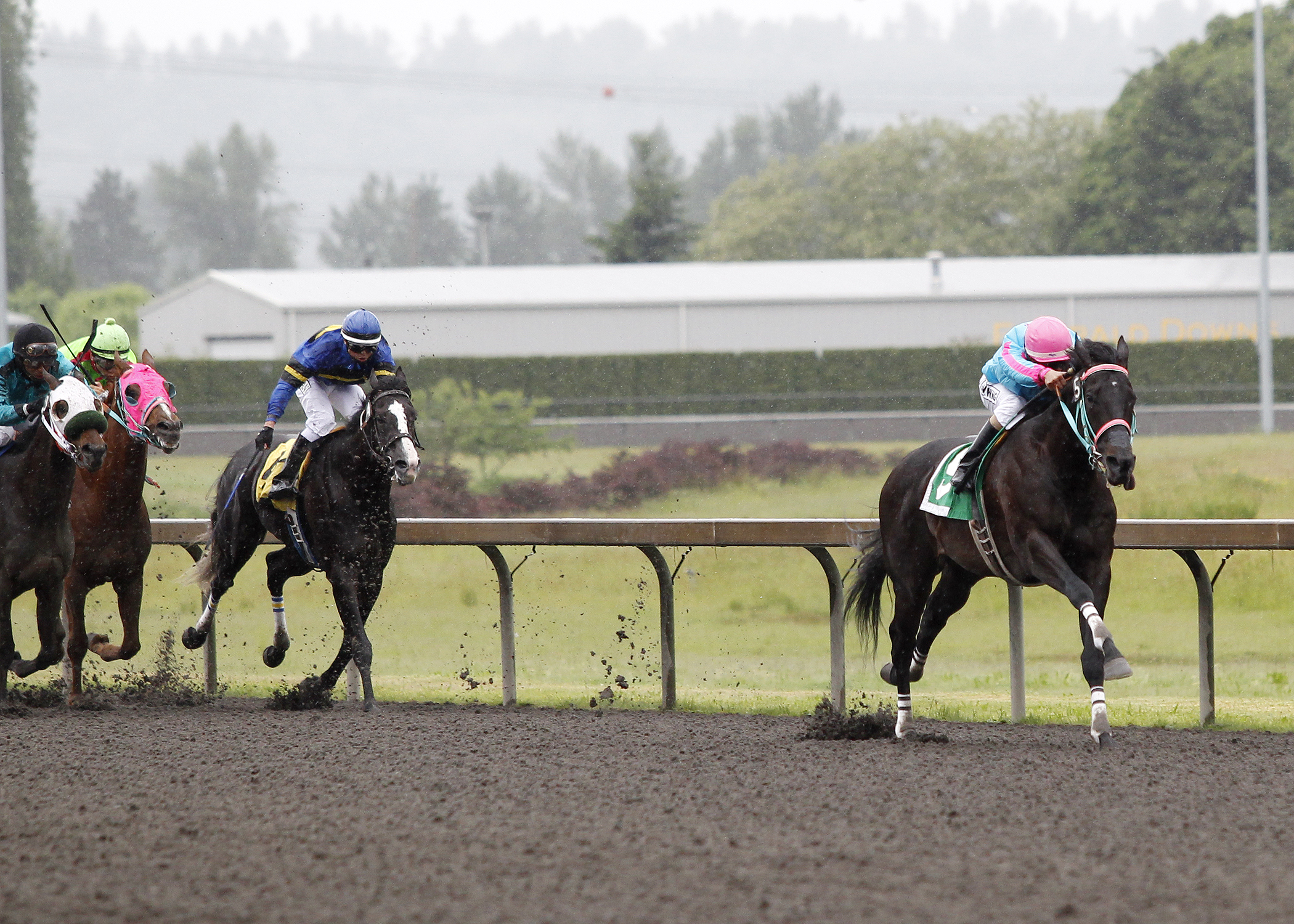 Noosito wins the Auburn Handicap