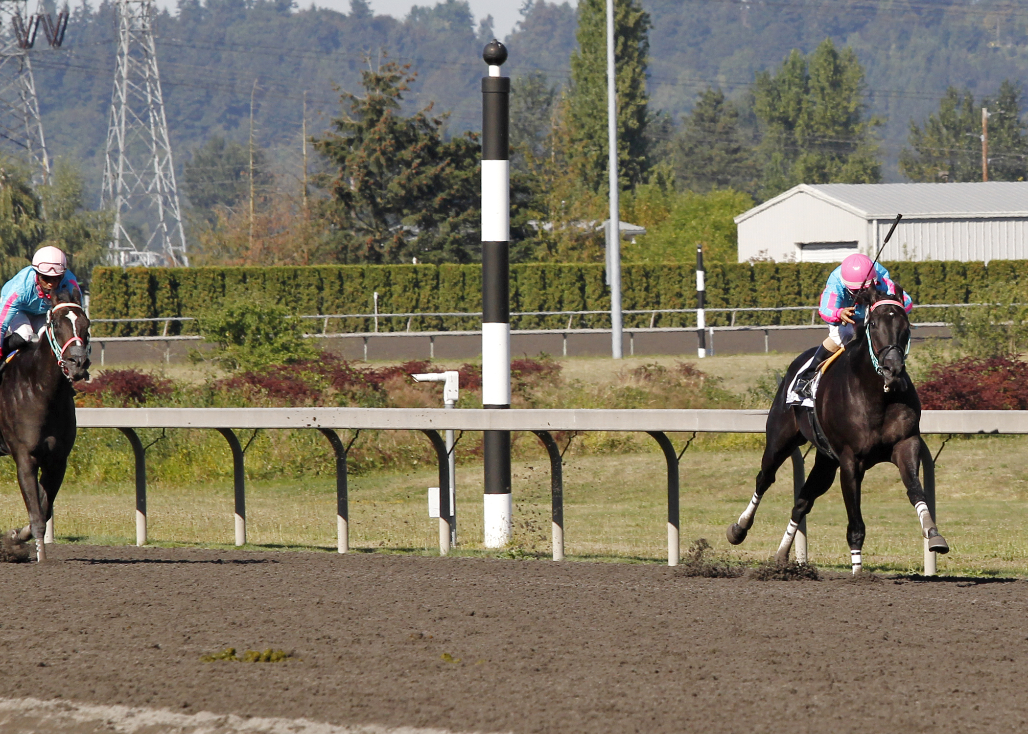 Noosito wins the Chinook Pass Stakes