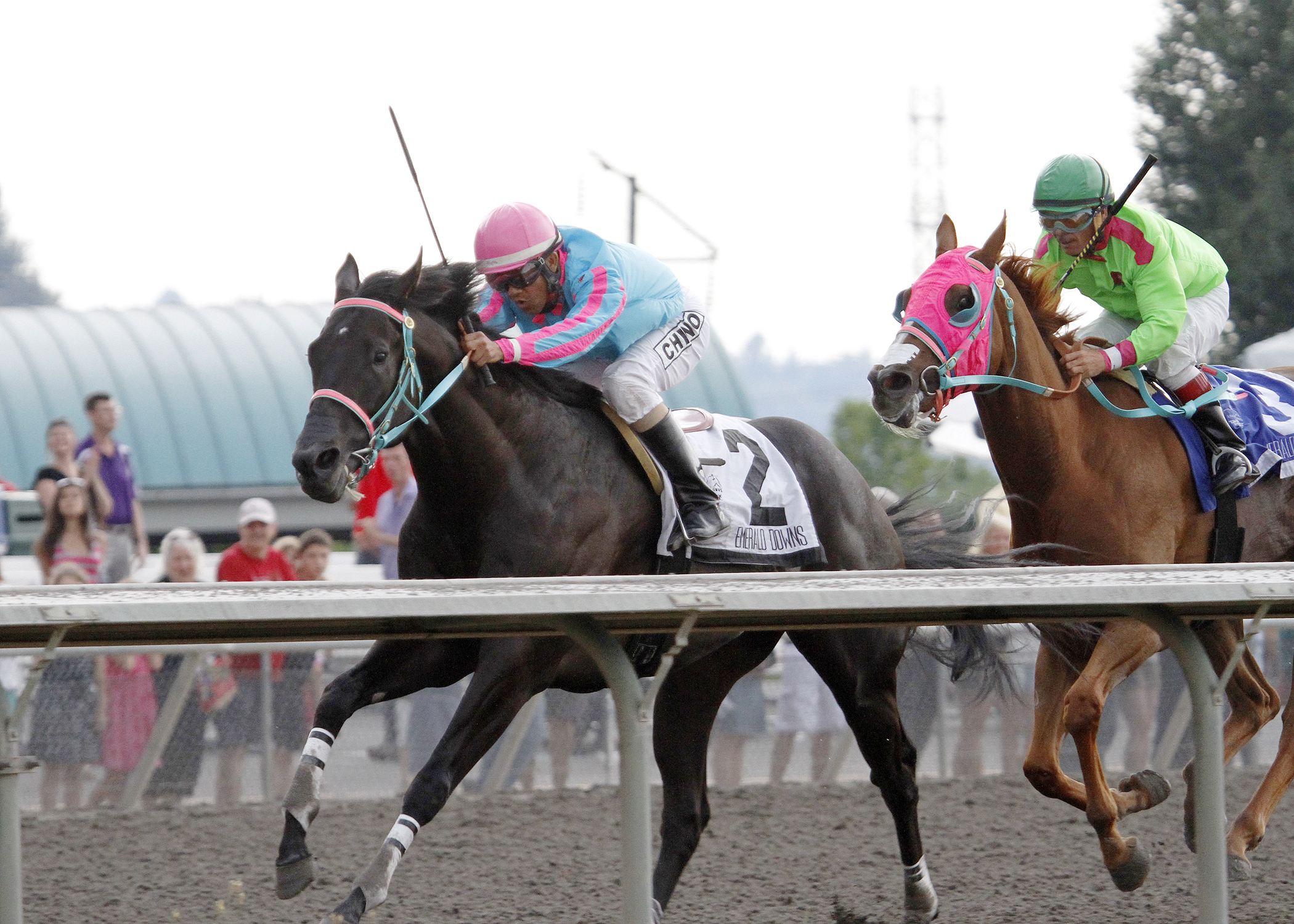 Noosito wins the 2014 Seattle Slew Handicap