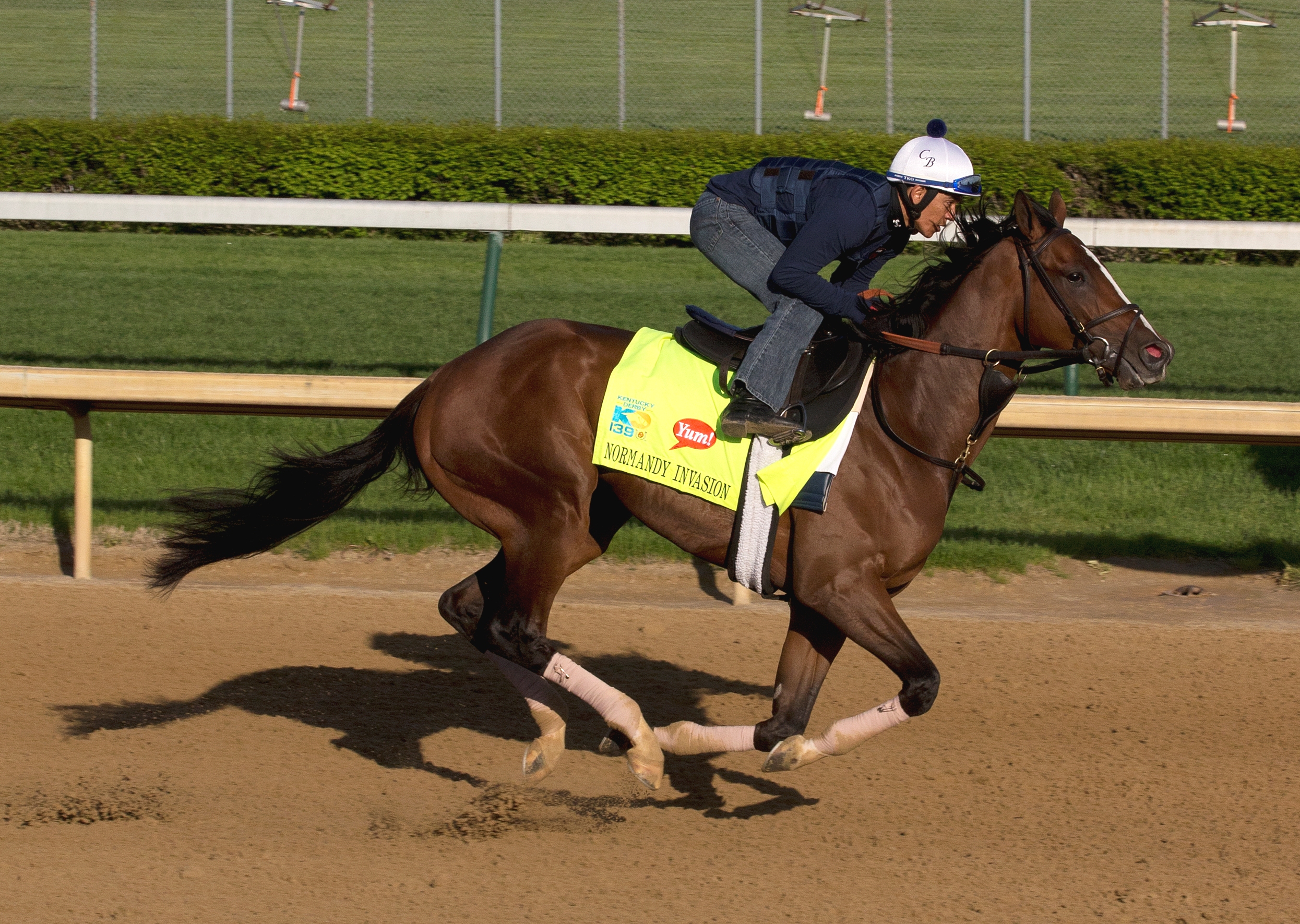 Normandy Invasion, April 26, 2013
