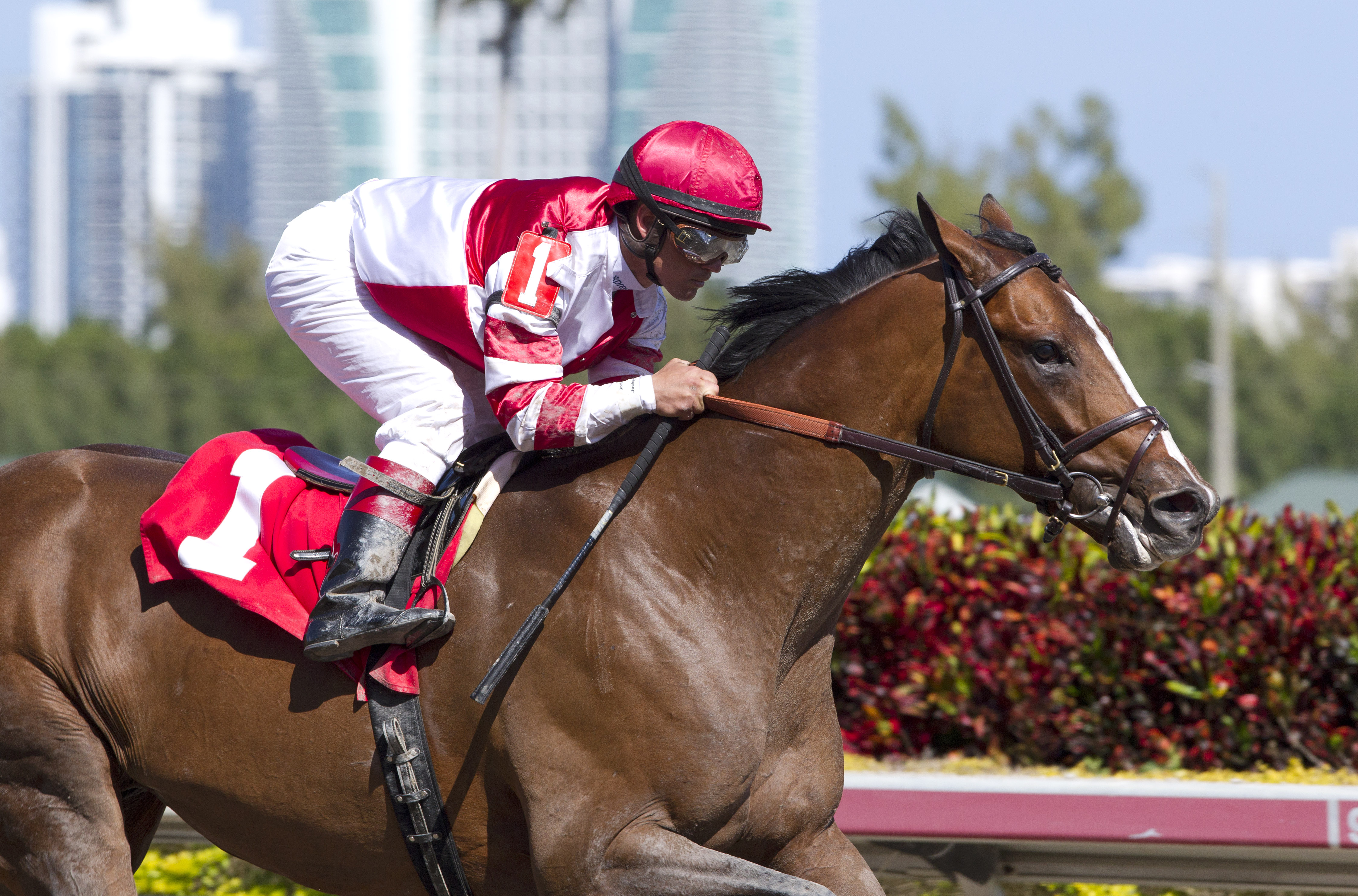 Normandy Invasion 2-22-2014