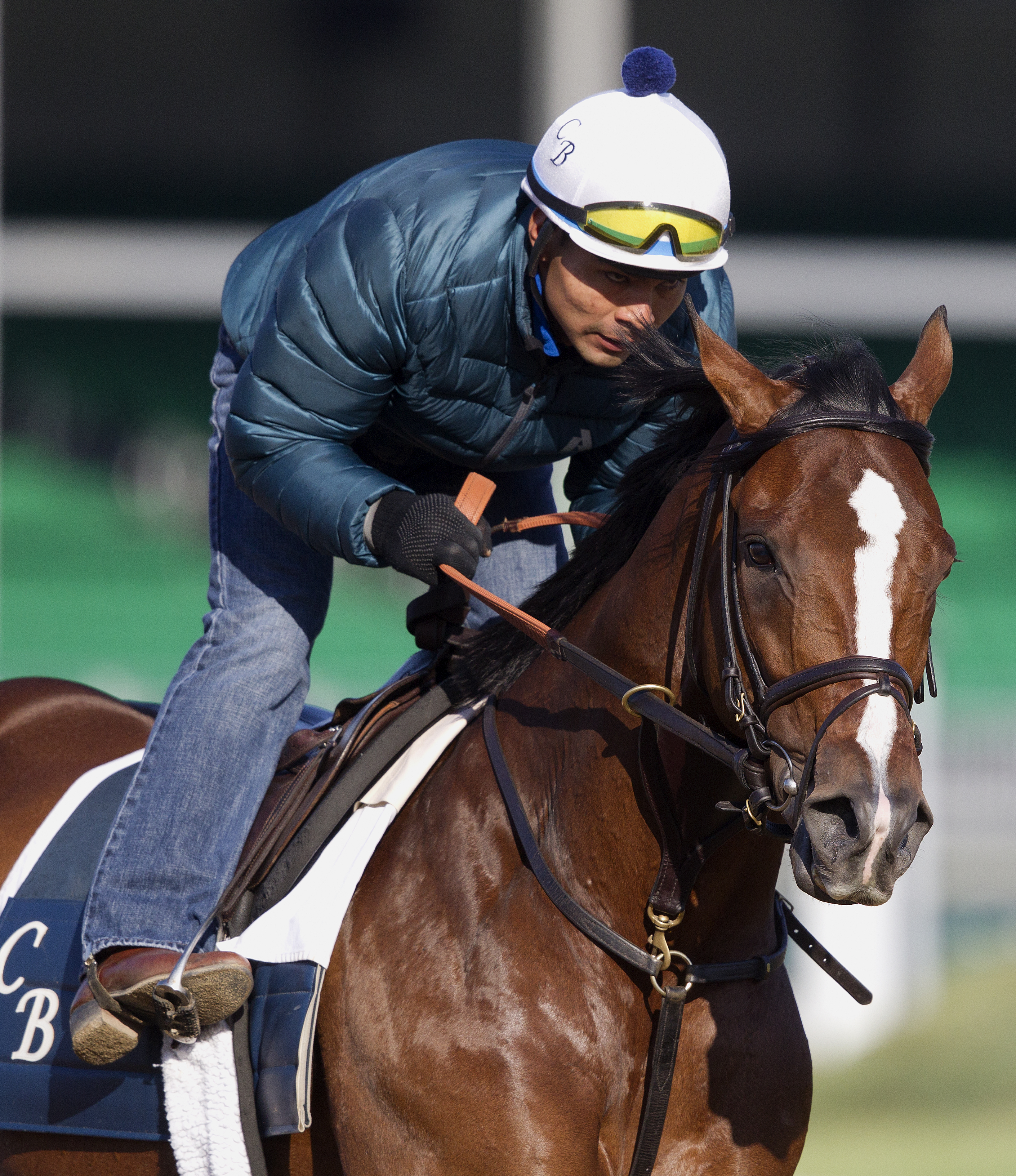 Normandy Invasion, May 1, 2014