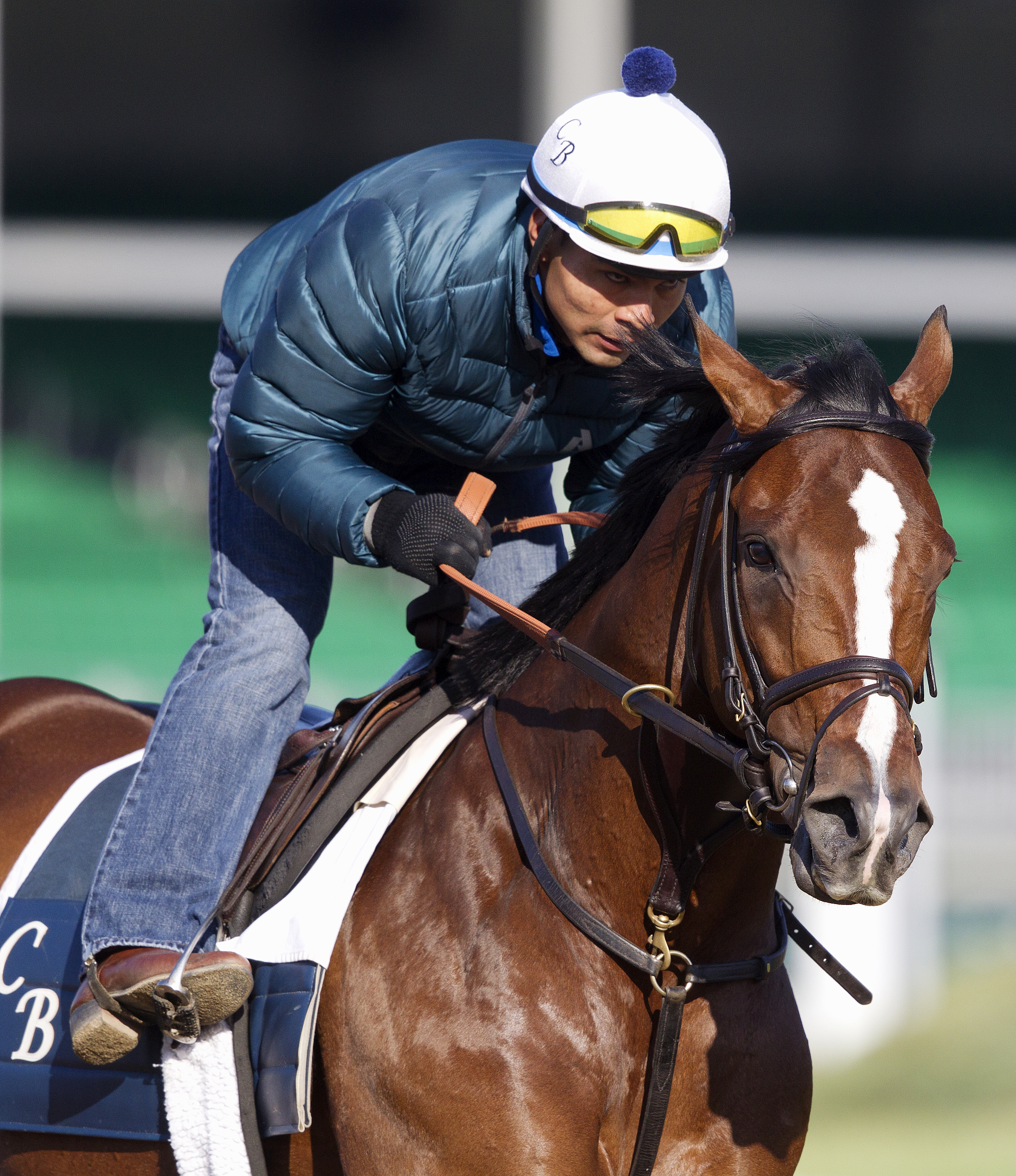 Normandy Invasion