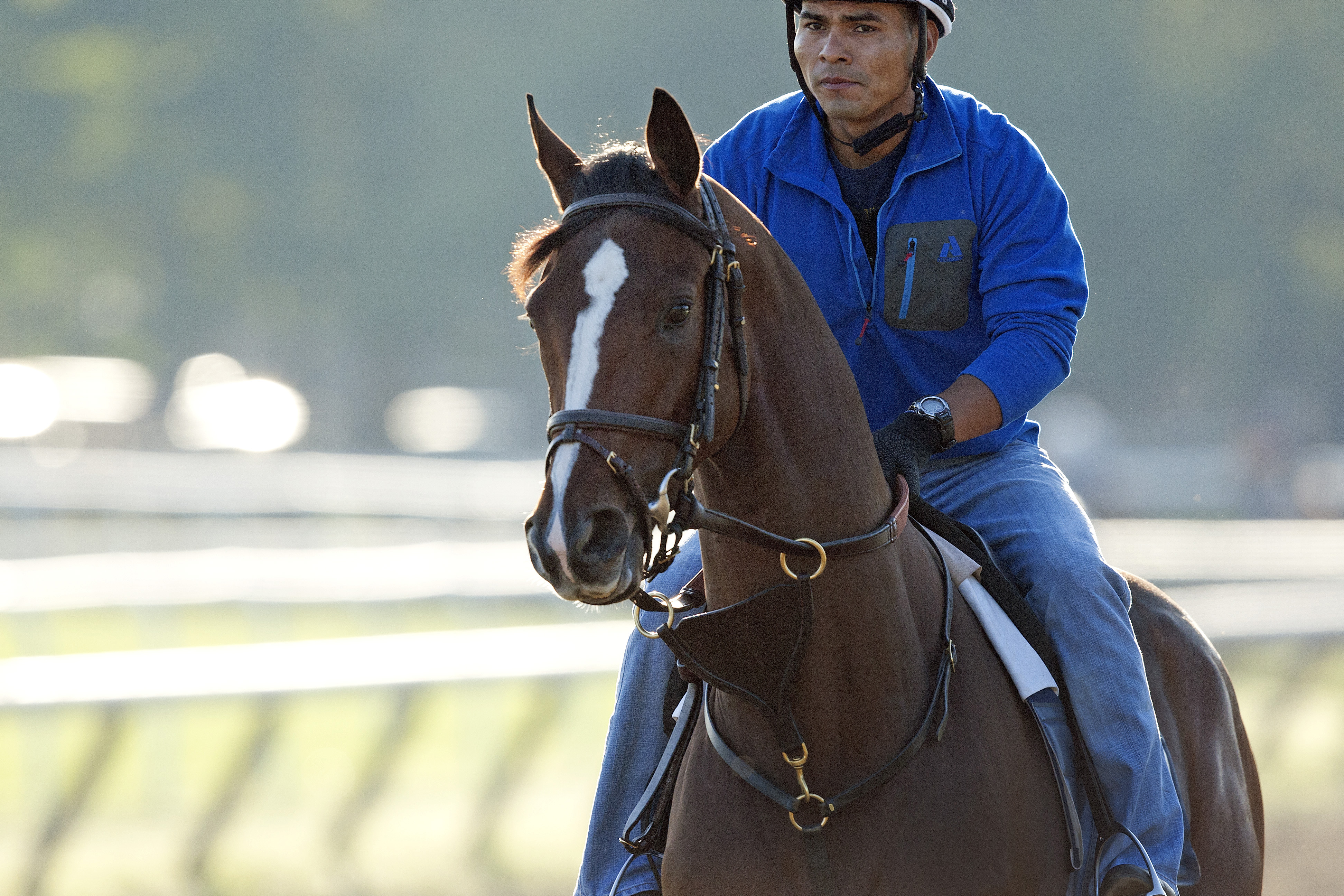 Normandy Invasion