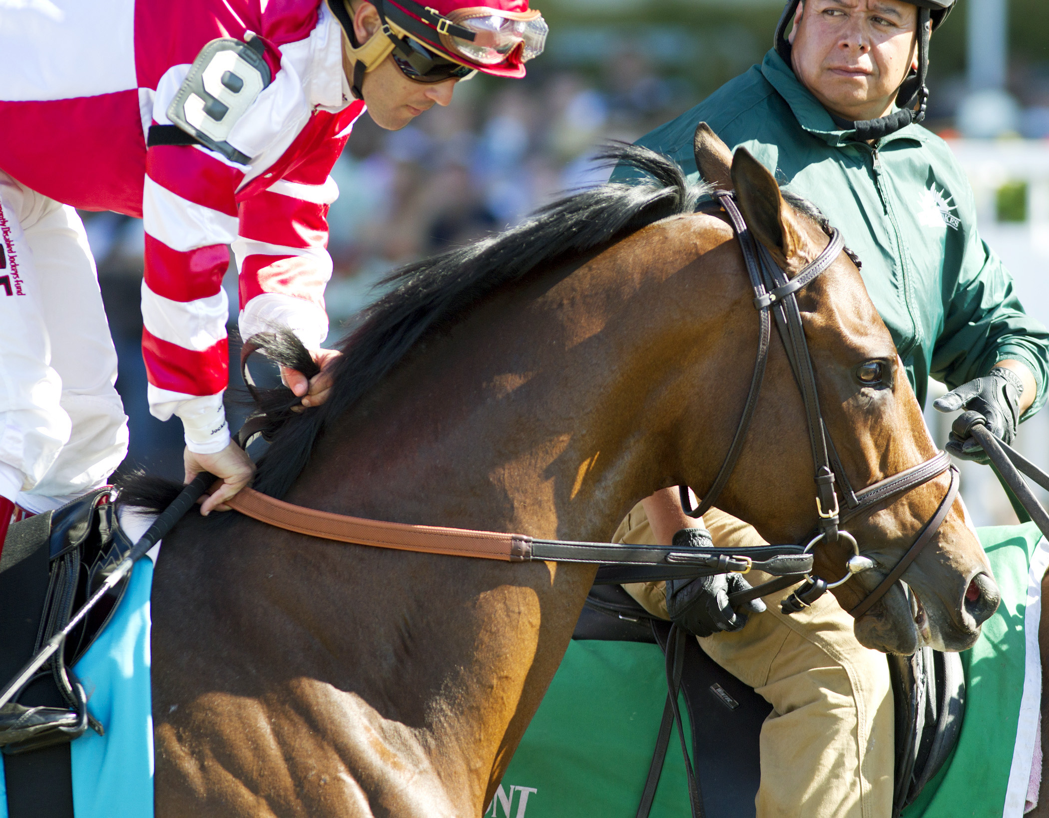 Normandy Invasion finishes 10th in the Met Mile