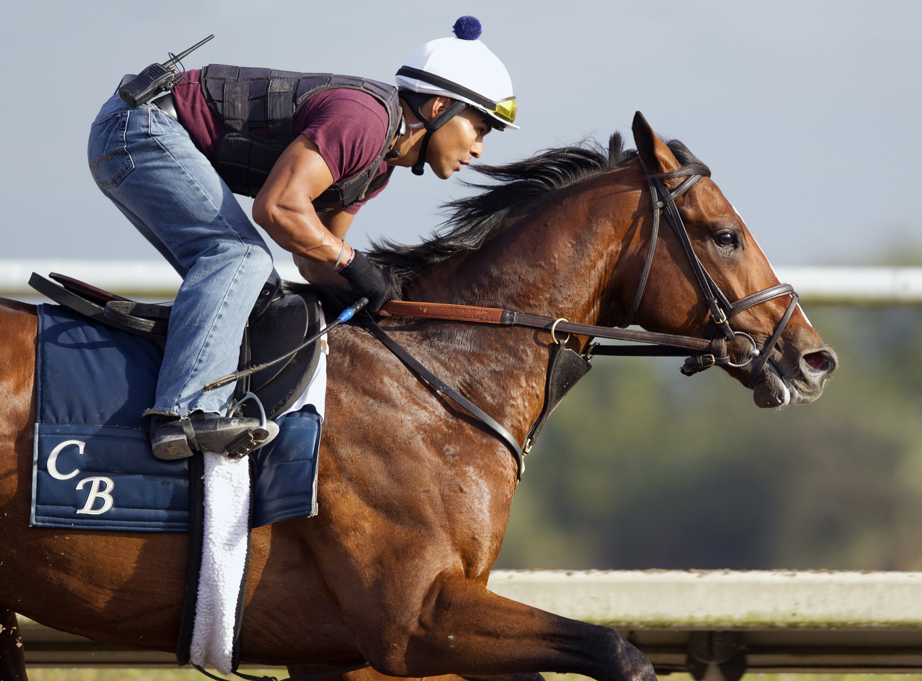 Normandy Invasion at Palm Meadows on Jan. 26