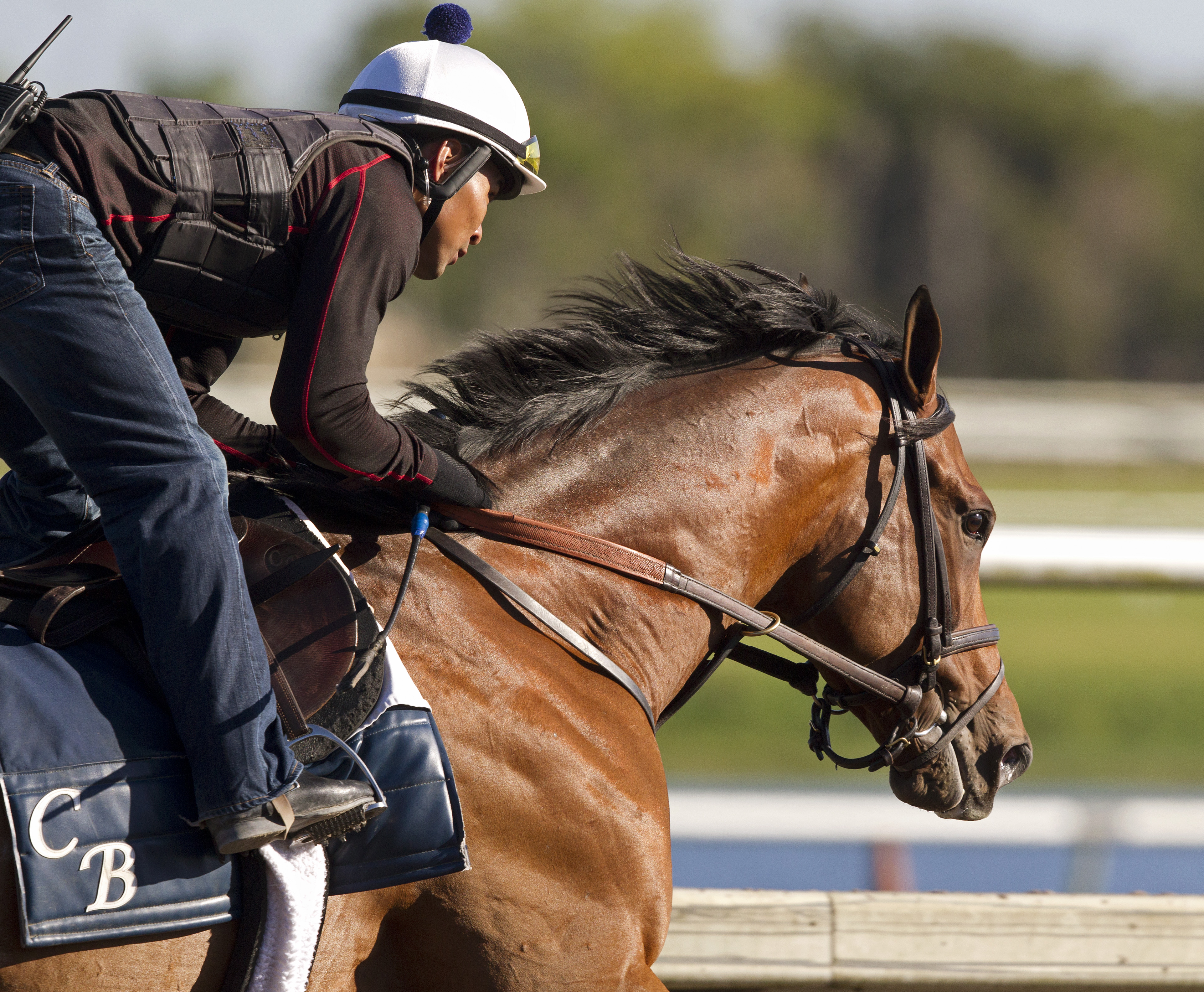 Normandy Invasion