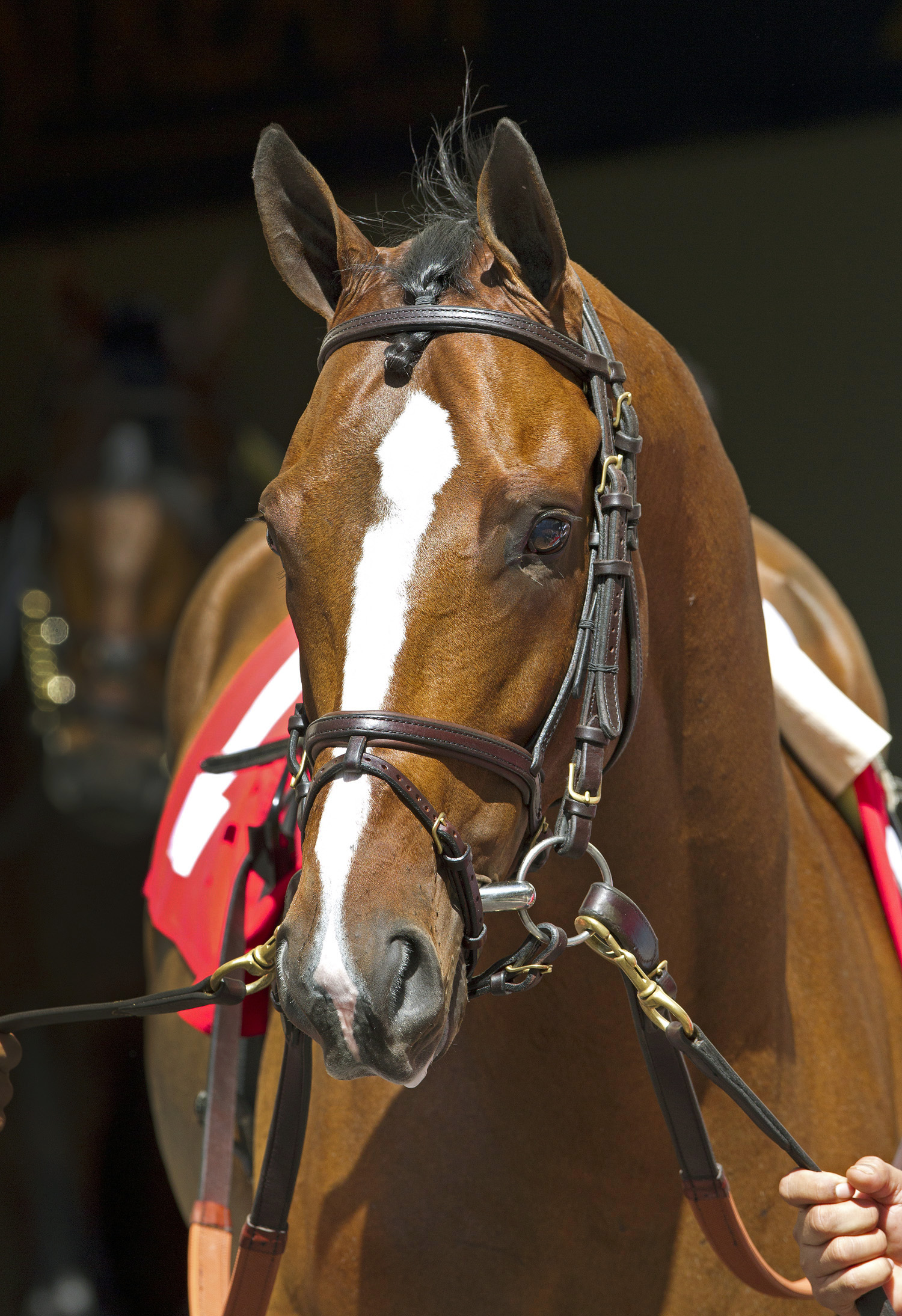 Normandy Invasion