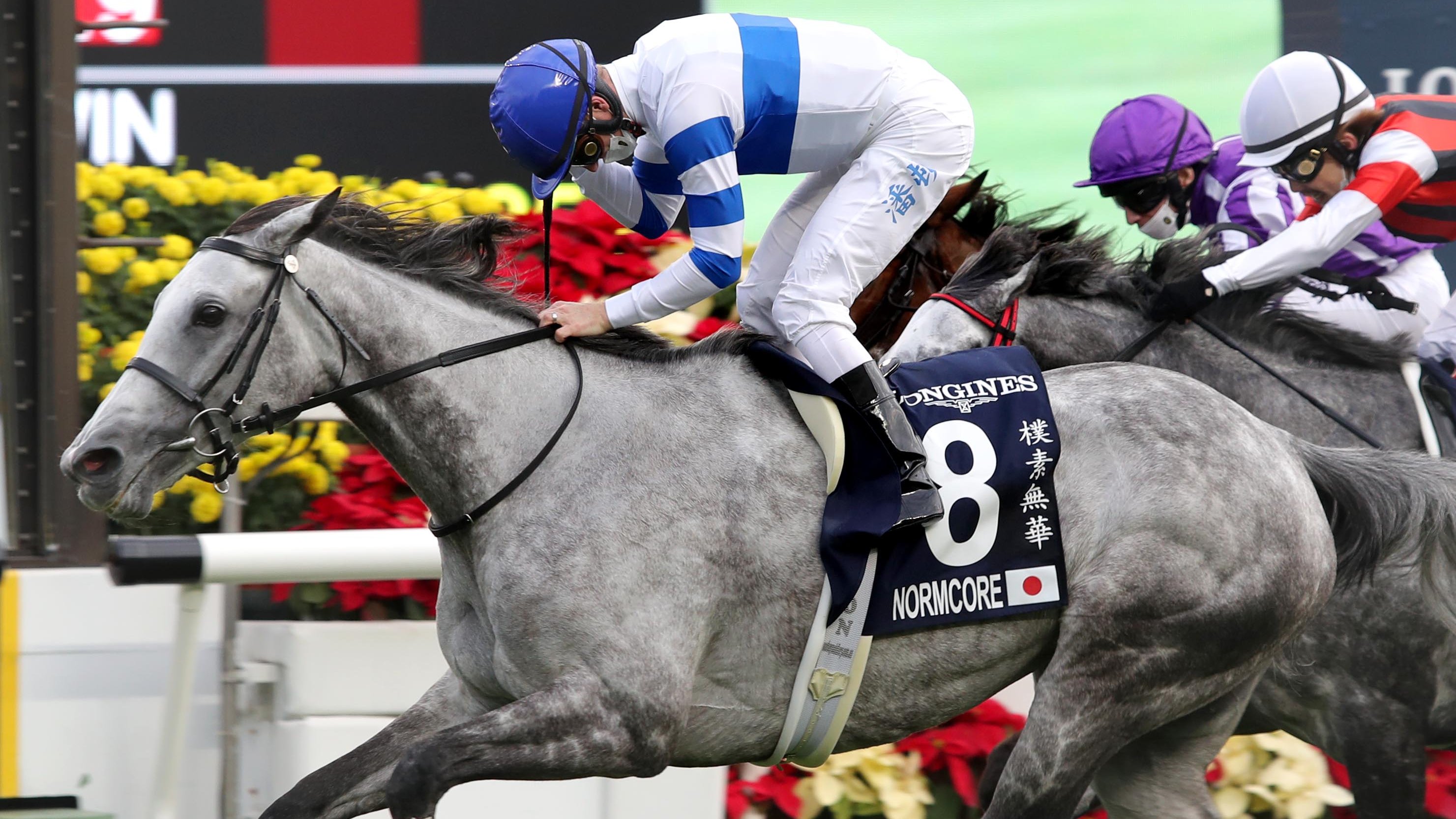 Normcore - Hong Kong Racing Media