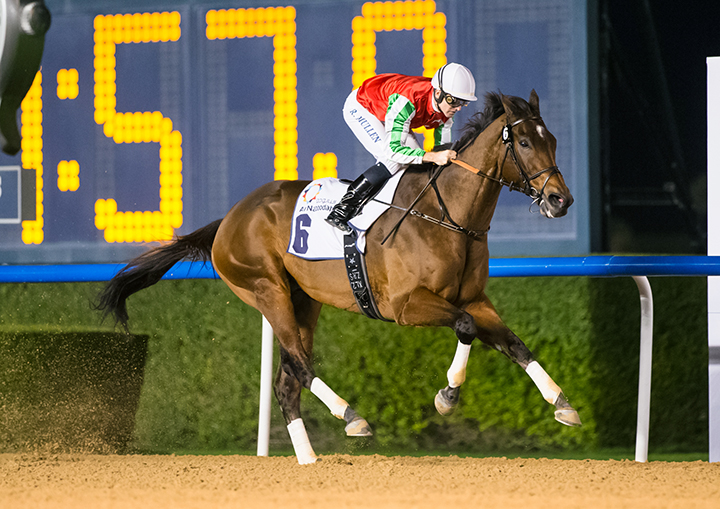 North America wins the 2019 Al Maktoum Challenge, round 2