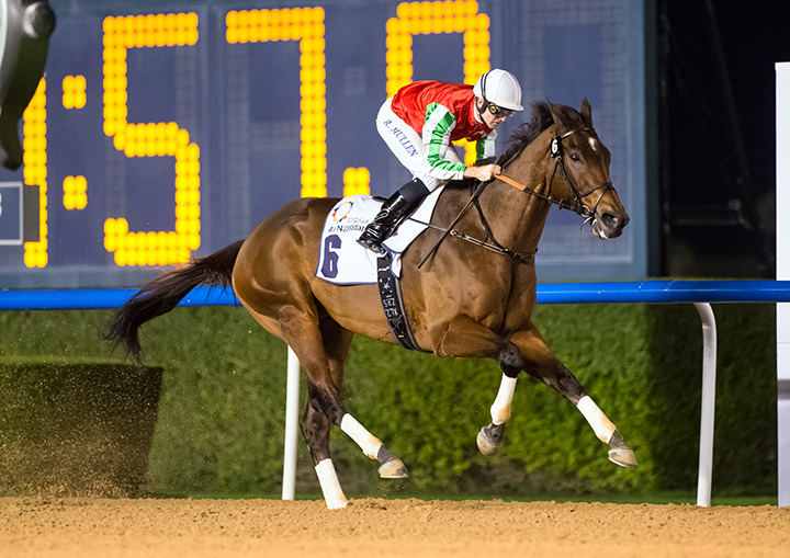 North America wins the 2019 Al Maktoum Challenge, round 2