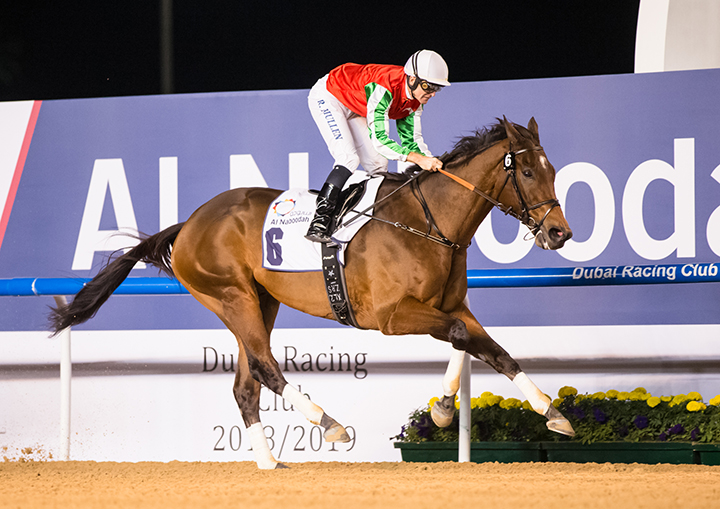 North America wins the 2019 Al Maktoum Challenge, round 2