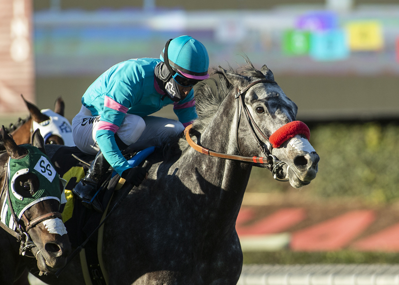 North County Guy/Unusual Heat Turf Classic