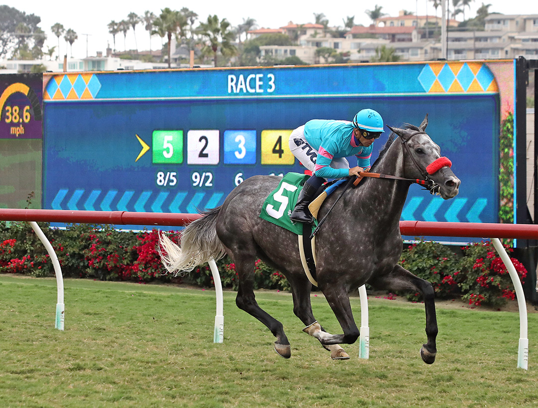North County Guy wins an Aug. 20 allowance at Del Mar