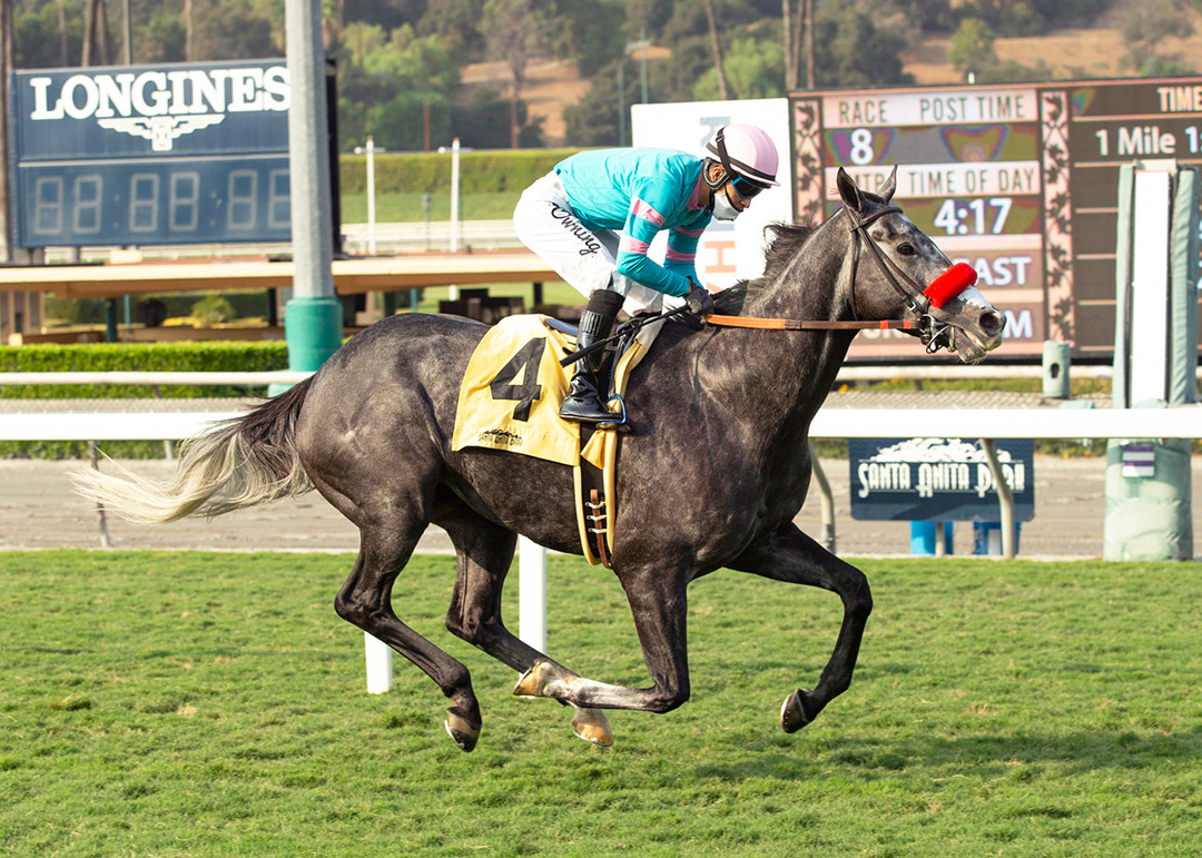 North Country Guy wins an Oct. 9 allowance race at Santa Anita