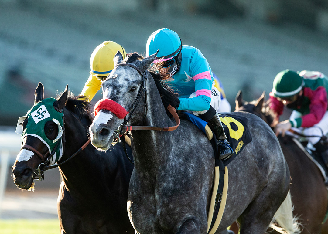 North County Guy (right) wins the 2021 Unusual Heat Turf Classic at Santa Anita
