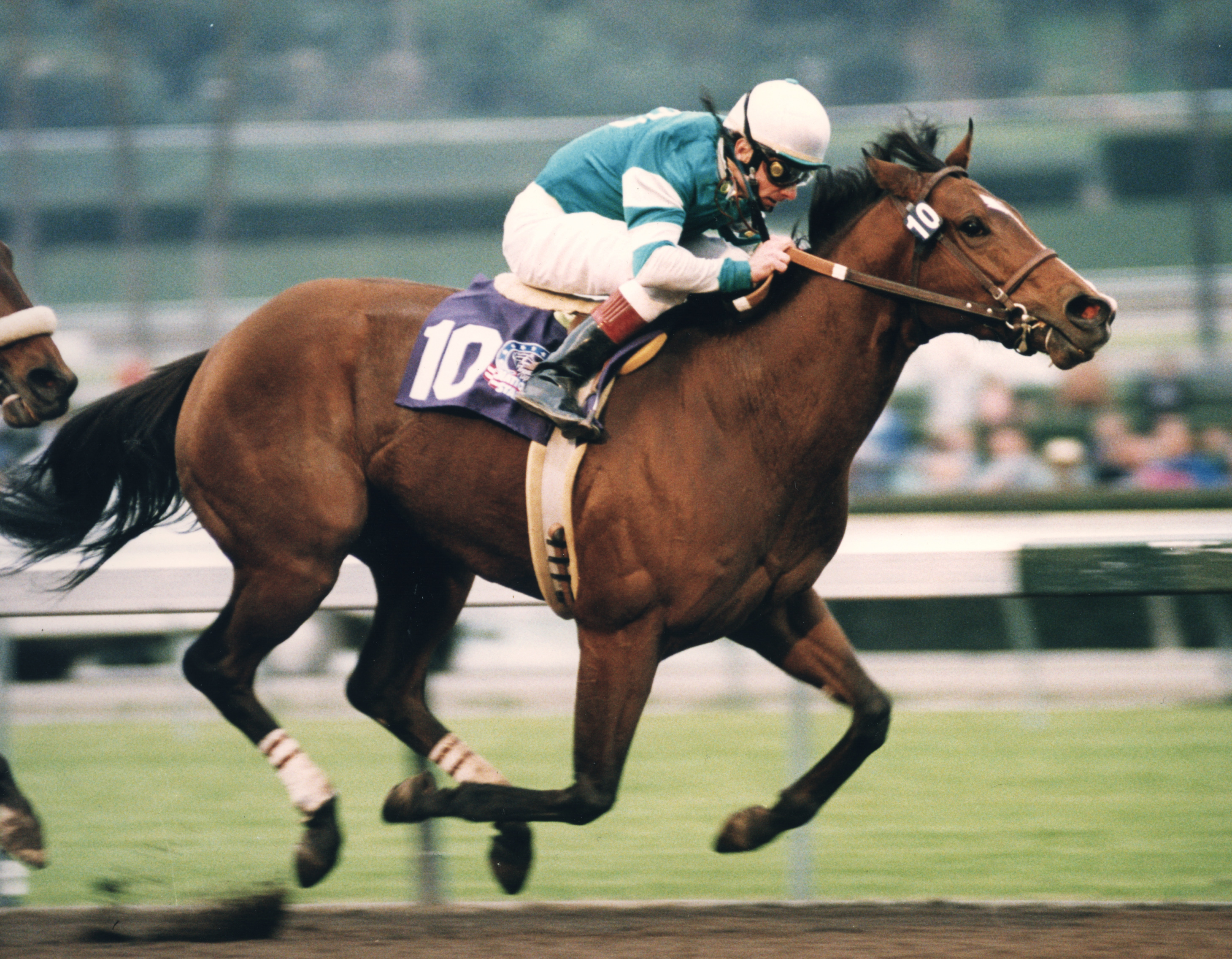 Northern Afleet wins the 1997 San Fernando BC Stakes