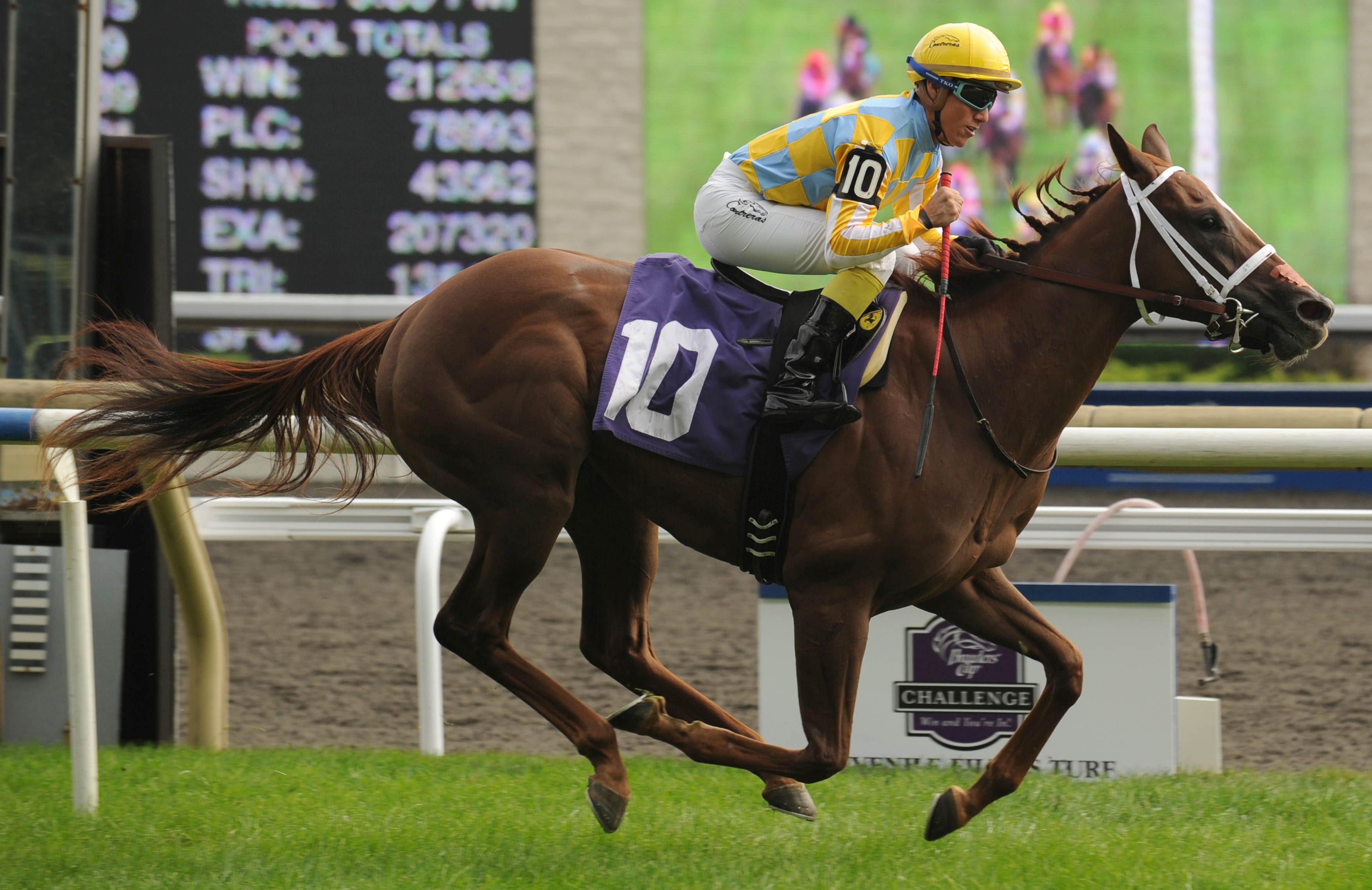 Northern Passion, Natalma