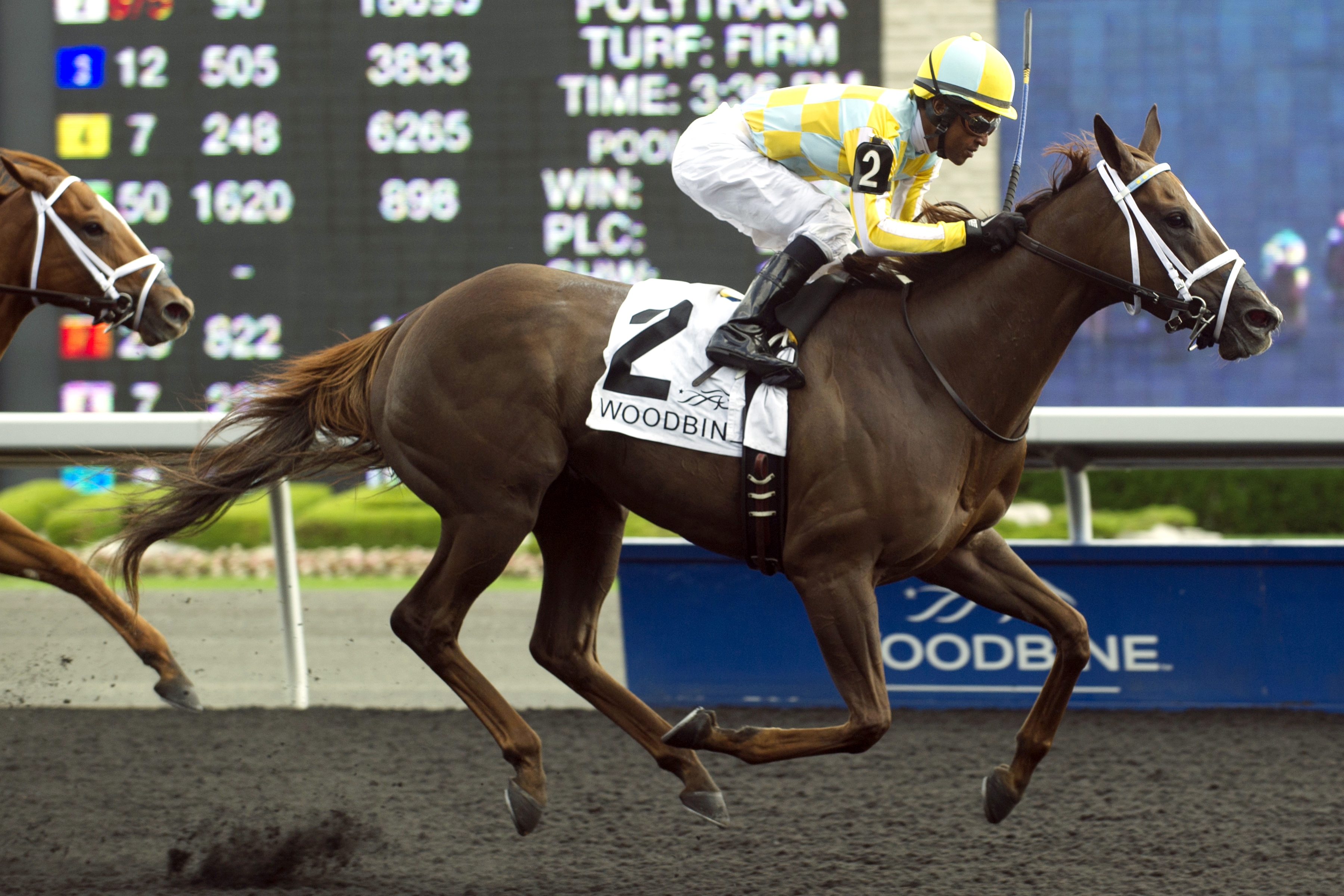 Northern Passion wins the Sweet Briar Too