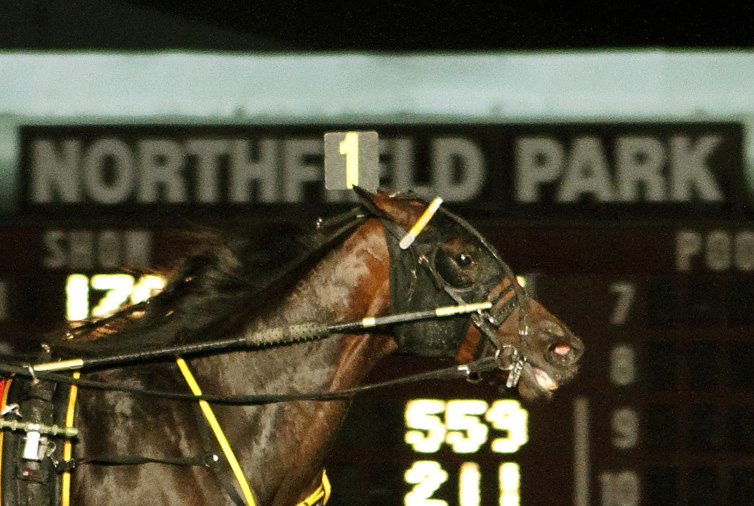 Northfield logo