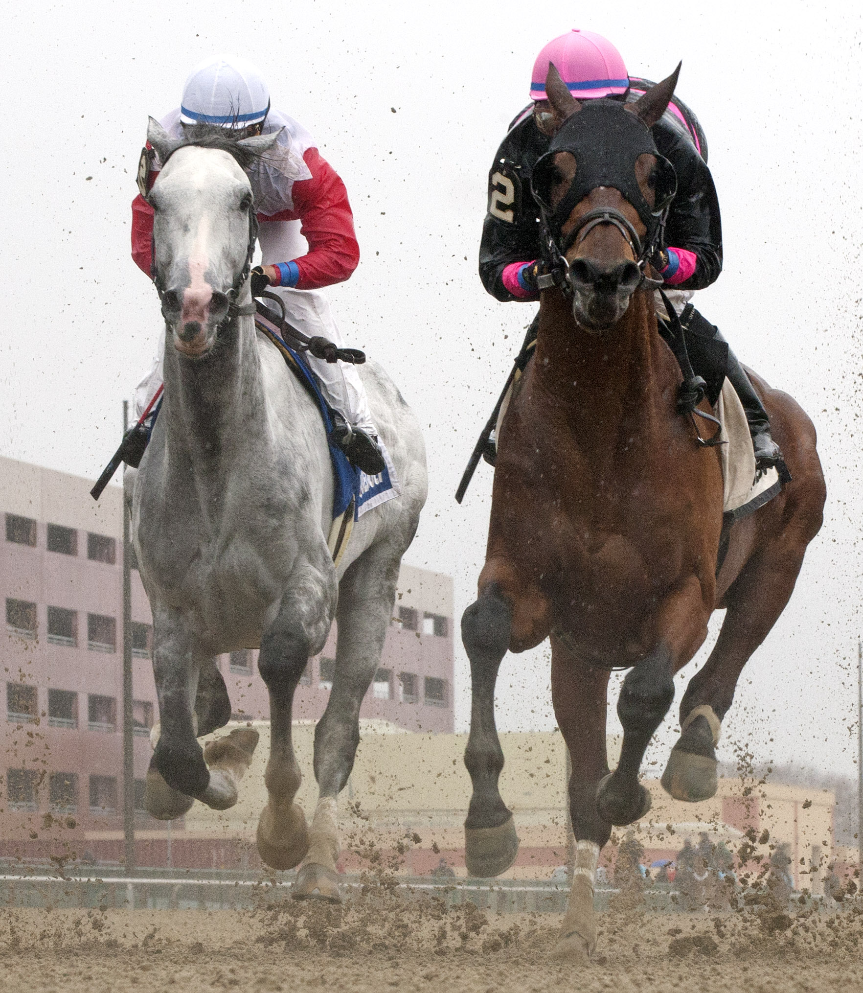 Kid Cruz wins the Excelsior Stakes