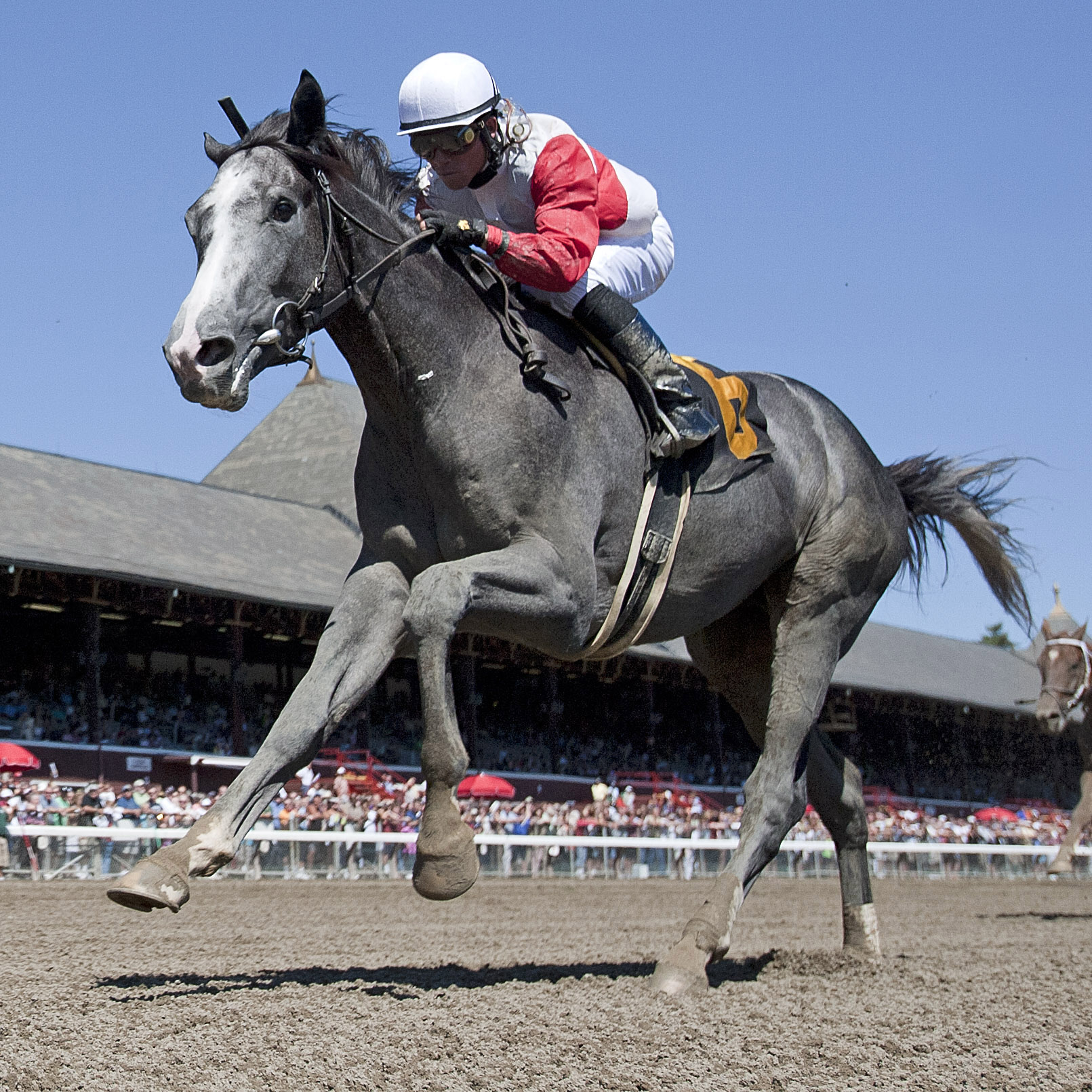 Norumbega, maiden win at Saratoga