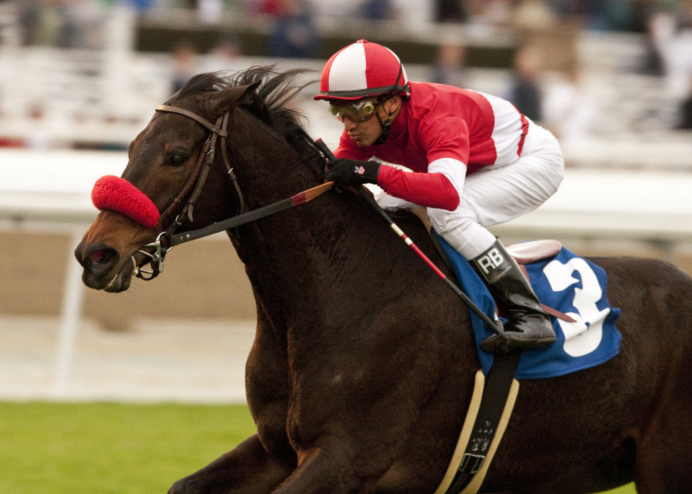 Norvsky/San Gabriel Stakes