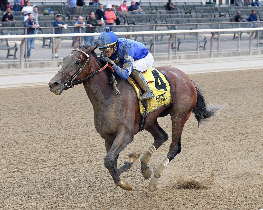 Nostalgic wins an Oct. 22 maiden race at Belmont Park