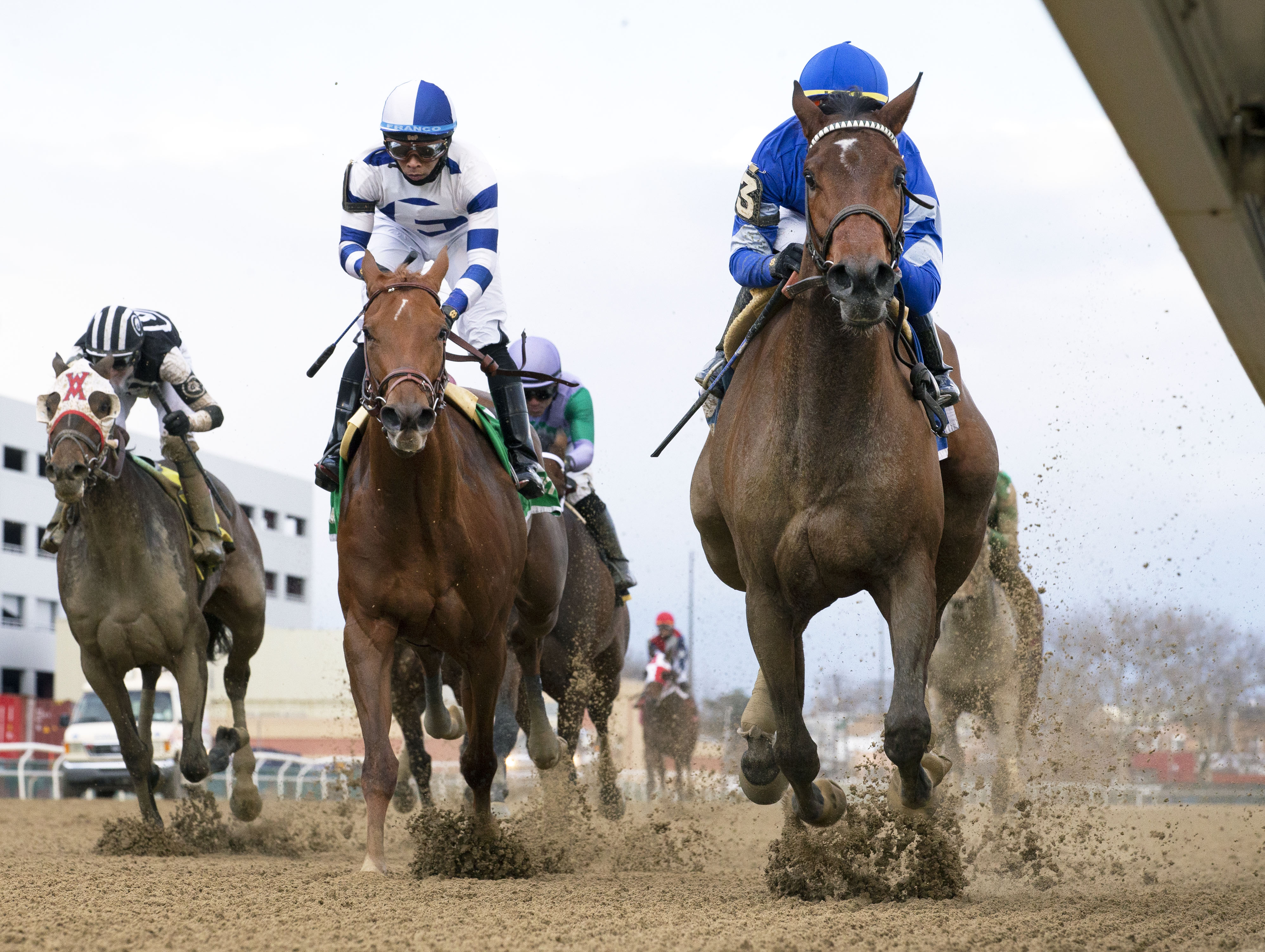 Nostalgic (right) wins the Gazelle 4-9-2022