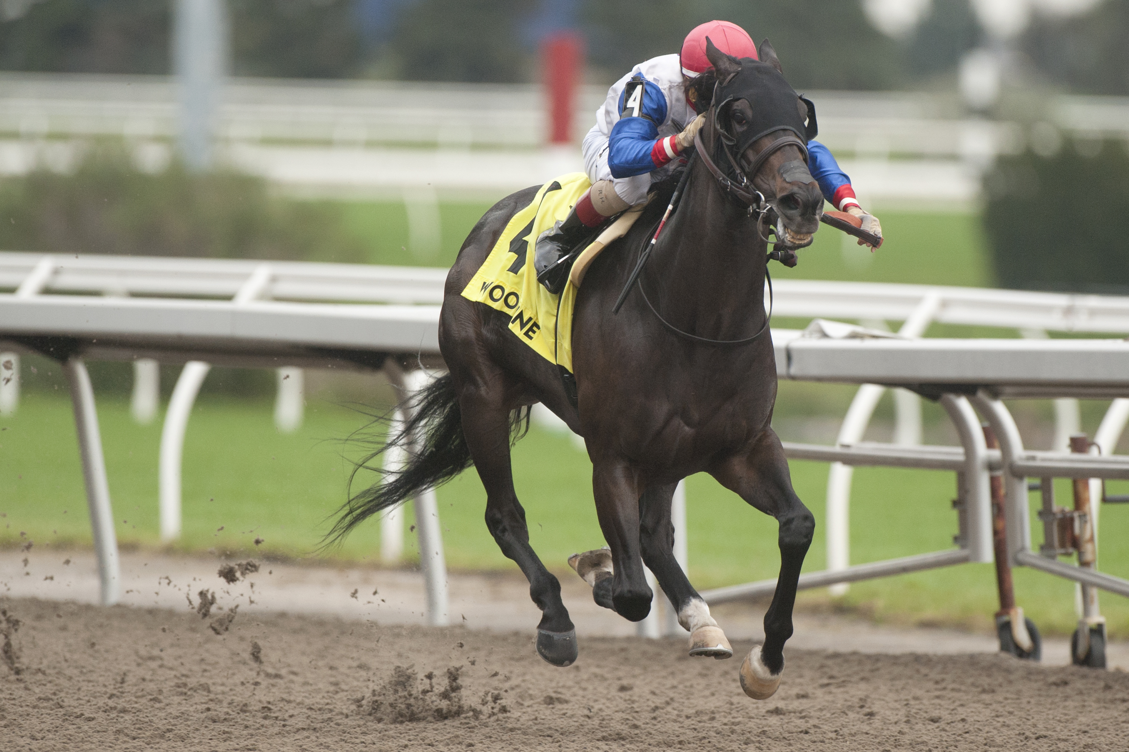 Not So Quiet wins the Overskate Stakes.10-9-2021
