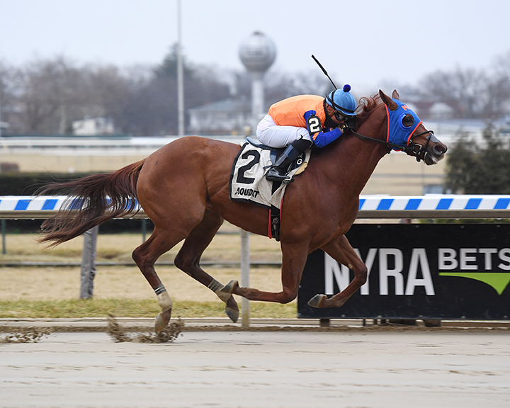 Not That Brady wins the 2018 Damon Runyon Stakes