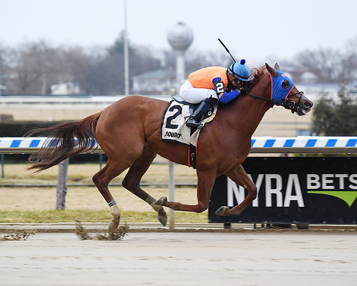 Not That Brady wins the 2018 Damon Runyan Stakes