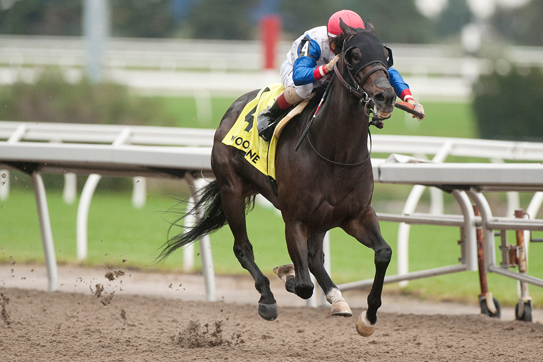 Not So Quiet wins the 2021 Overskate Stakes at Woodbine