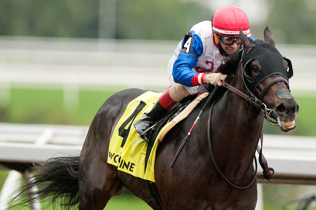 Not So Quiet wins the 2021 Overskate Stakes at Woodbine