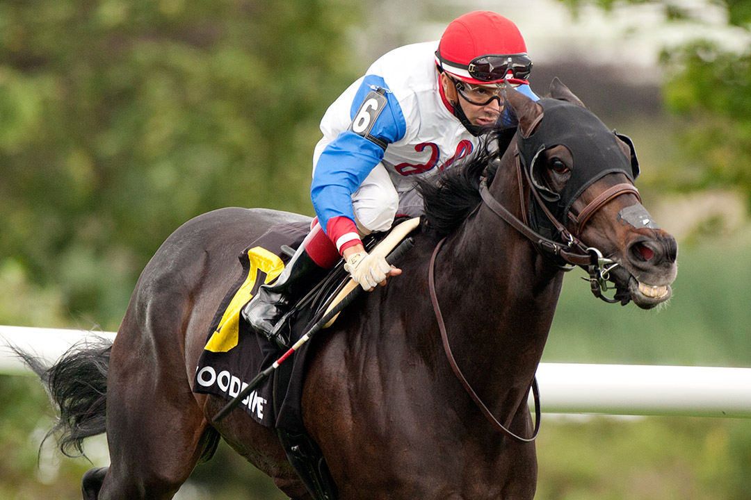 Not So Quiet wins the 2021 Vice Regent Stakes at Woodbine
